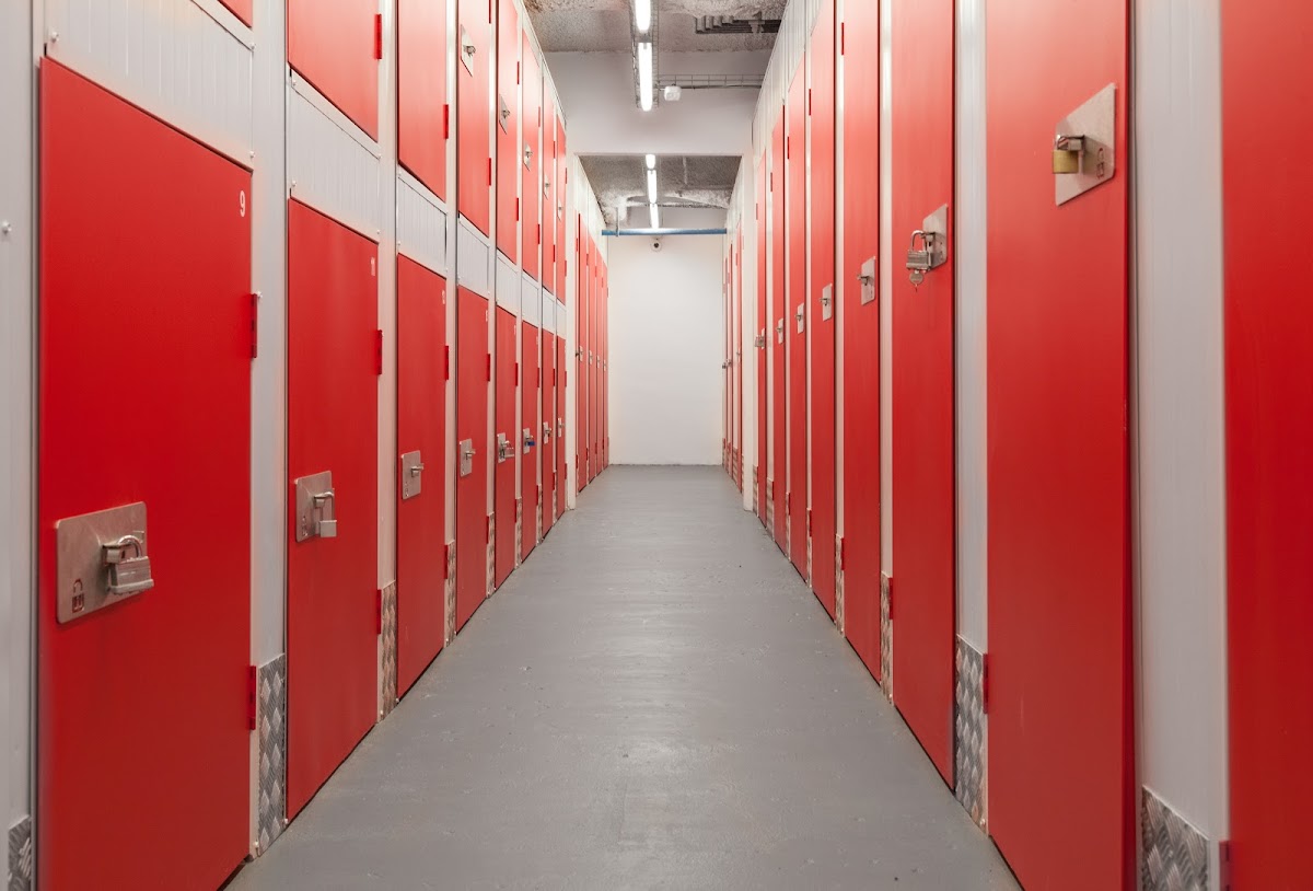 Zebrabox (YoGuardo) - image 2