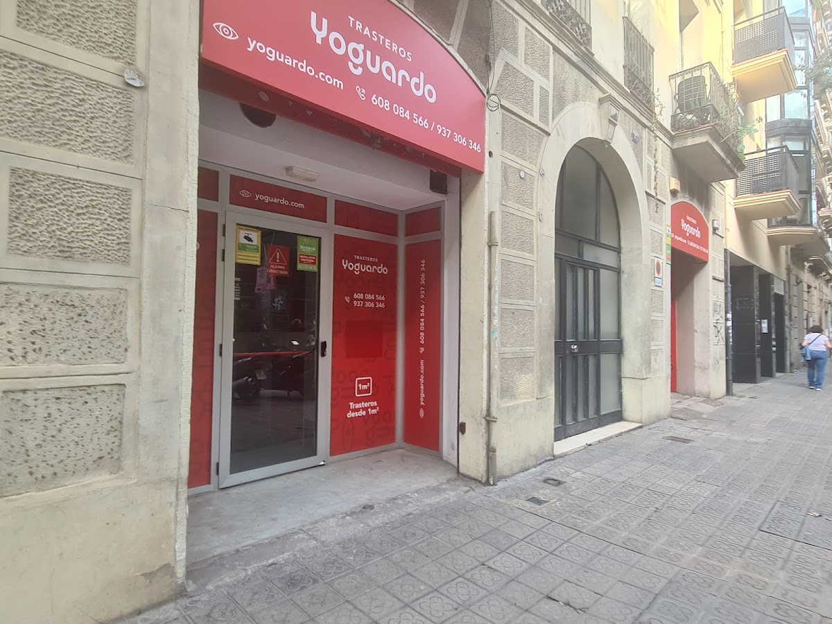 Zebrabox (YoGuardo) - image 4