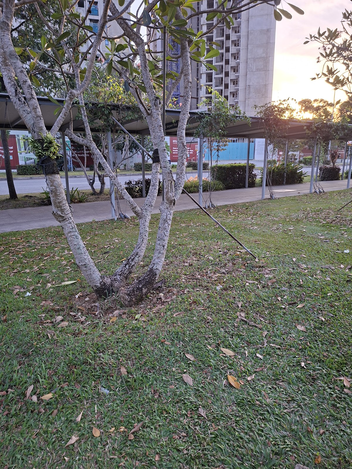 Extra Space Asia - image 5